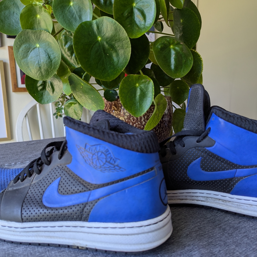 Nike Air Jordans- Black and Blue